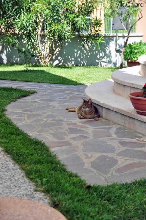 Villa Chiara ลาซีเซ ภายนอก รูปภาพ